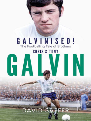 cover image of Galvinised